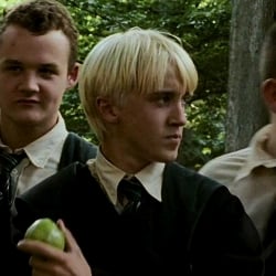 Draco Malfoy