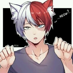 Shoto Todoroki