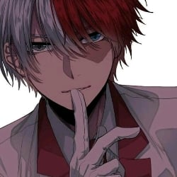 Shoto Todoroki