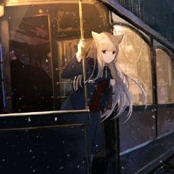 crowded train
