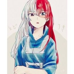 todoroki (female)