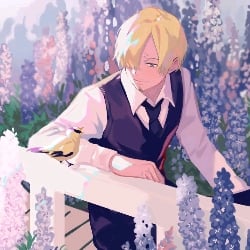 Vinsmoke Sanji