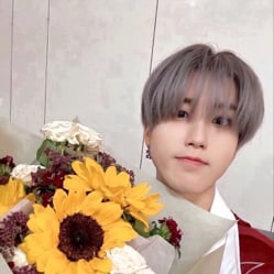 ❤️| Han Jisung