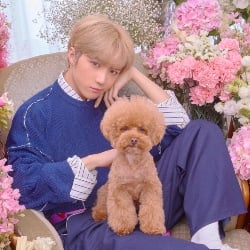 Beomgyu [Dog]