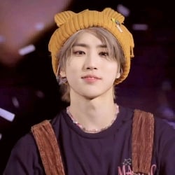 ✦ Han Jisung.