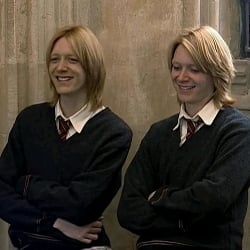 Weasley family/Christmas disaster 🎄