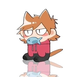 Cat Tord