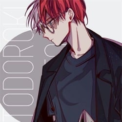 Shoto Todoroki