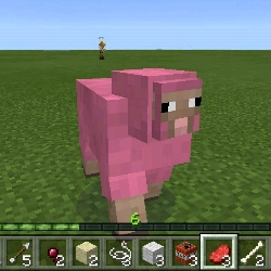 craft man