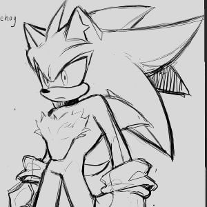 Shannon the Hedgehog 🌀