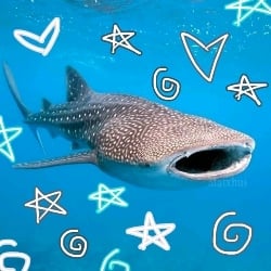 Michael (mermaid)