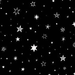 The night.