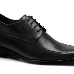 the shoe