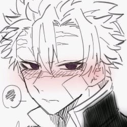 Shinazugawa sanemi•~
