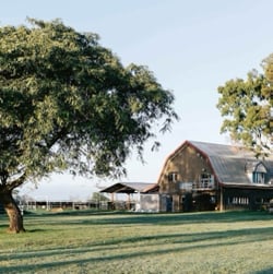 Bull Farm