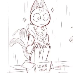 Cat Peter
