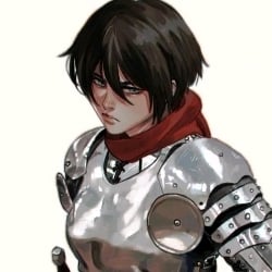 Mikasa(Knight)