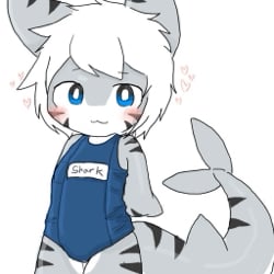 Chase the shark