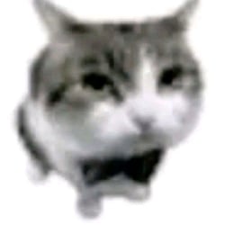Terrance