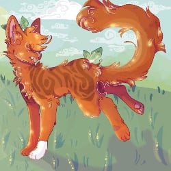 squirrel