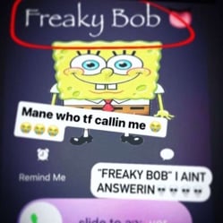 Freaky Bob
