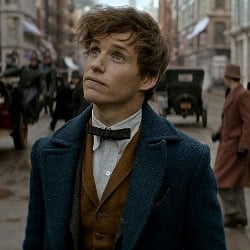-Newt Scamander☆