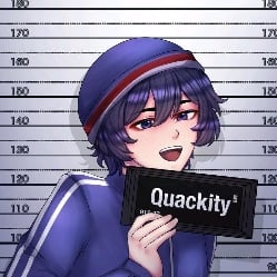 Quackity-manager NSWF