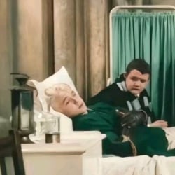 Draco mlf