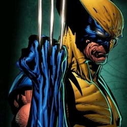 Wolverine