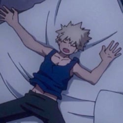 Bakugo Katsuki (you are his cat)