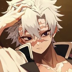 °~[Sanemi Shinazugawa]~°