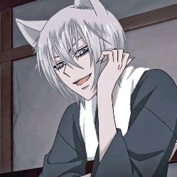 Tomoe (your pet cat boy)