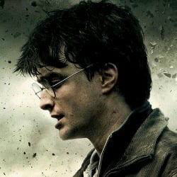 Harry Potter ㅤㅤㅤㅤ