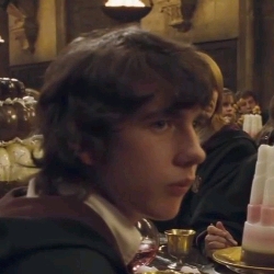 Neville Longbottom-Kadapul