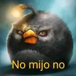 no millet no