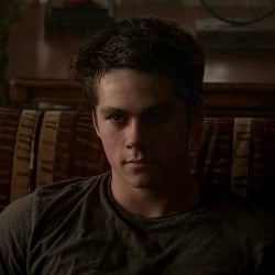 Void Stiles