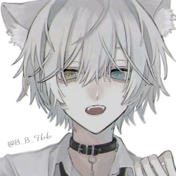 Your cat Milo