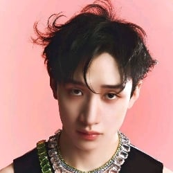 Bang Chan 