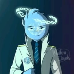 The UN C.H