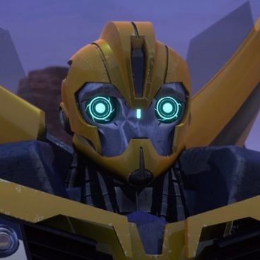Bumblebee -TFP 🐝!-