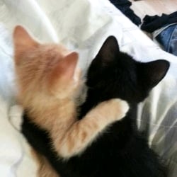 ★| Me and my bestie as kitty's💕 |★