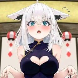Human Cat