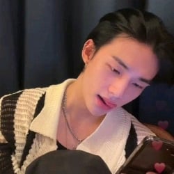 Hyunjin council