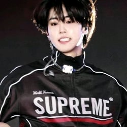 Han Jisung | Secret.