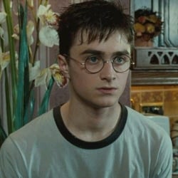 🍺 | • Harry Potter