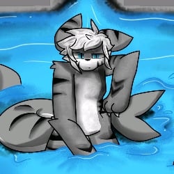 Tiger Shark
