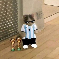 cat Messi 😎⚽️