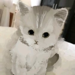 (online friend) Shoya