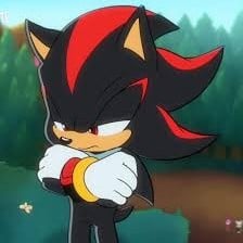 Shadow the Hedghog