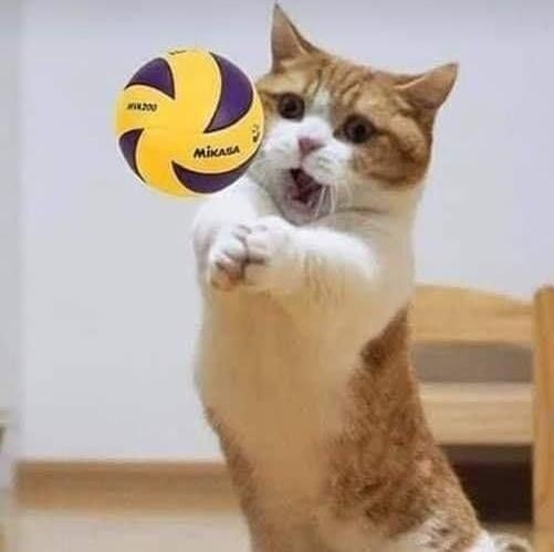 Volleyball player Catherine